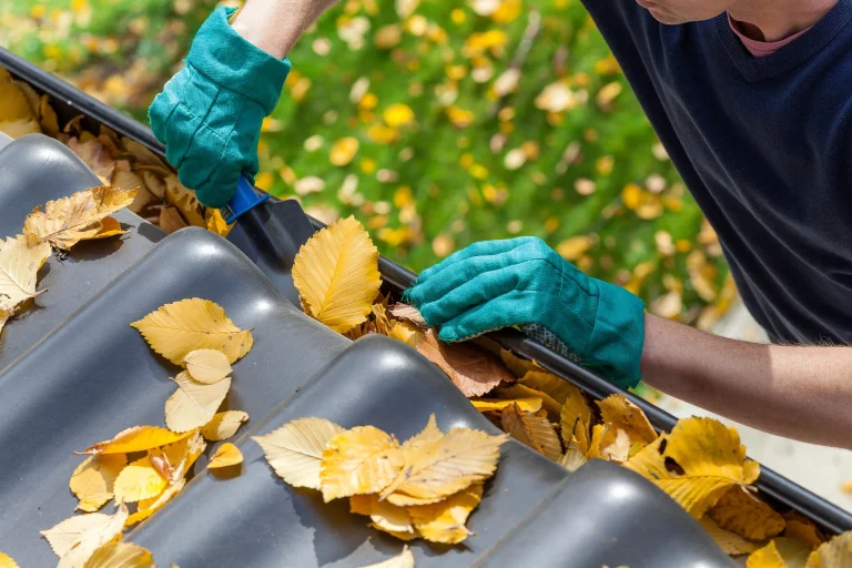 Avoiding Common Gutter Maintenance Mistakes: Expert Guide
