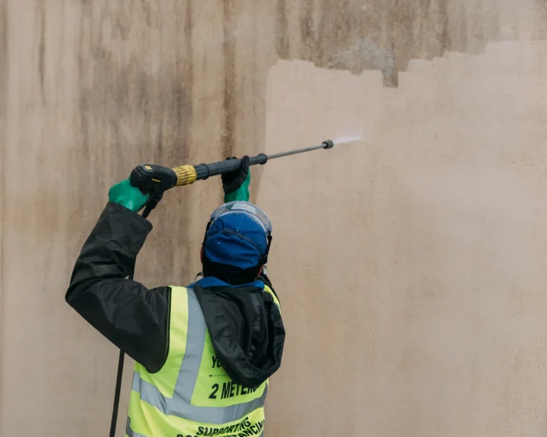 How To Manage Algae Growth On Walls: Professional Guide