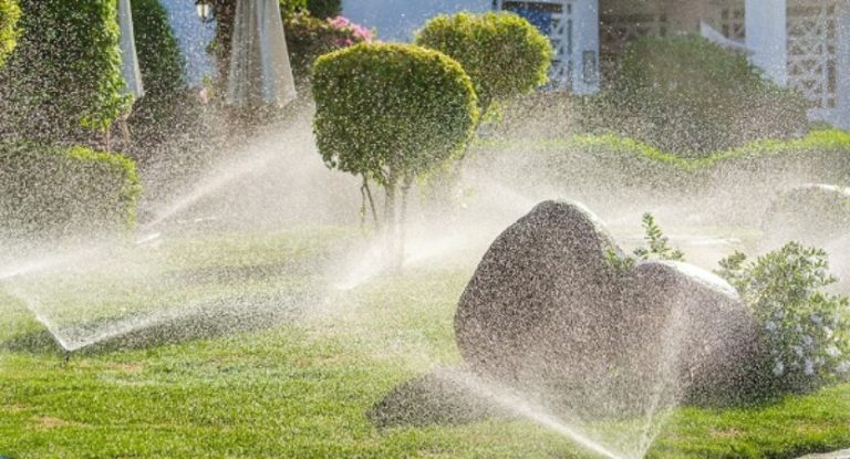 How To Reduce Landscape Water Consumption: A Professional Guide