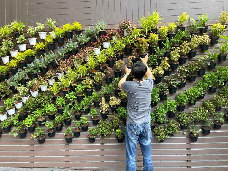 Vertical Garden Ideas: A Professional External Design Guide