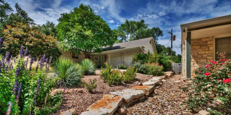 Xeriscaping Project Overview: A Professional Editorial Guide